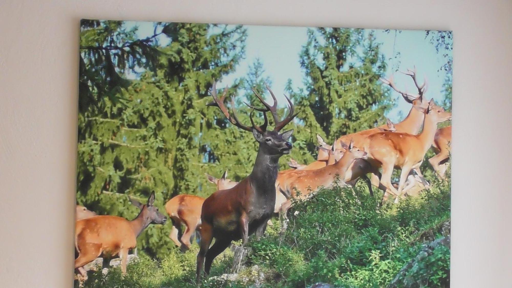 Gasthof Pammer Mardetschlag Zewnętrze zdjęcie
